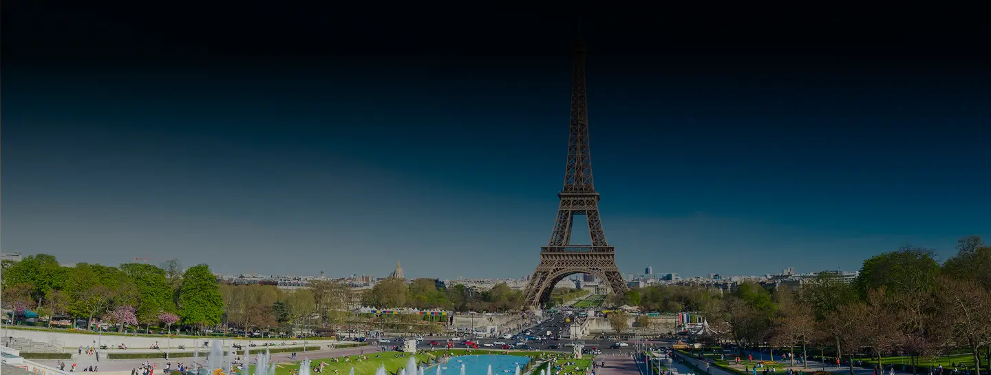 Chauffeur Service in France