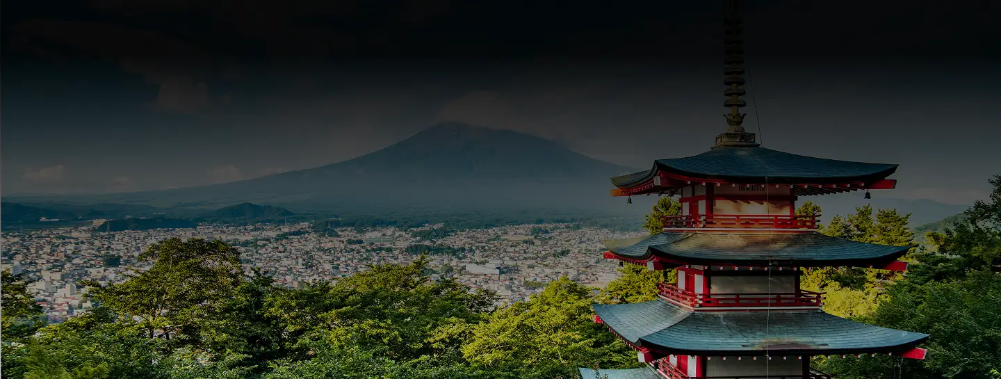 Chauffeur Service in Japan