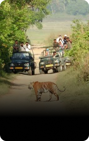 Jim Corbett