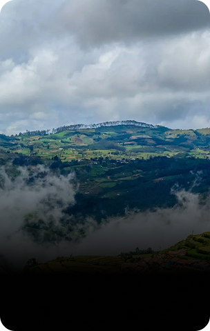 Ooty