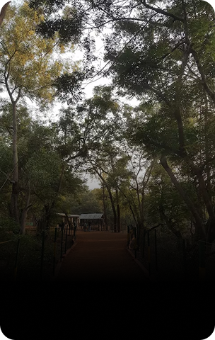 Shantiniketan
