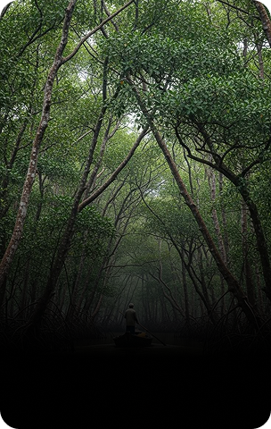 Sundarbans