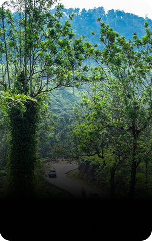 wayanad